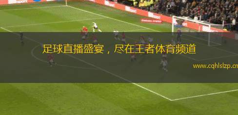 足球直播盛宴，盡在王者體育頻道